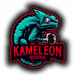 boks kielce logo treningi
